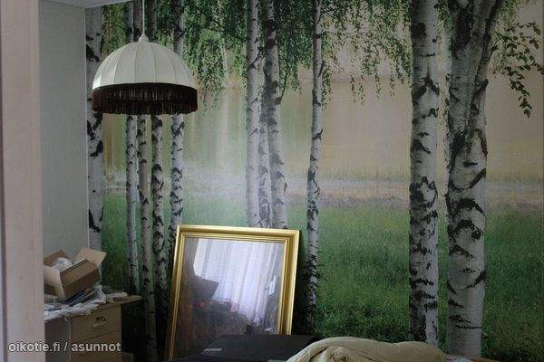 2h + s  Virrat – foto 4