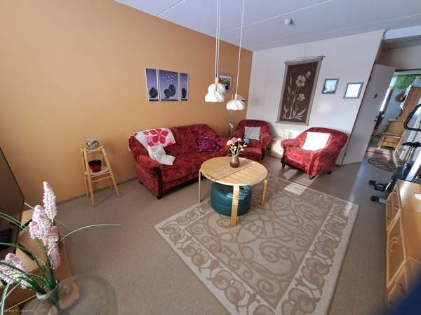 2h + k + p  Joutsa - valokuva 1