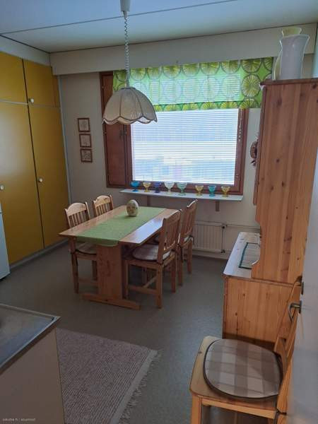 2h + k + p  Joutsa - valokuva 4