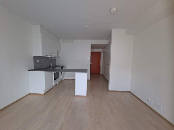 1h + p  Jyvaeskylae – foto 4