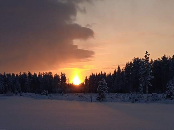 5h + s + ph + khh  Vaala - photo 7