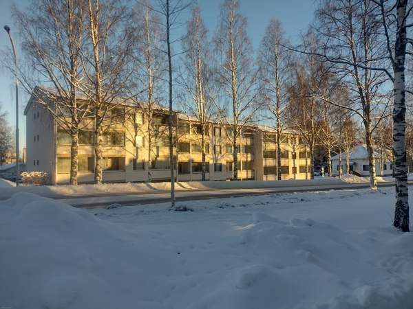 1h +k+ s + p  Nurmes – foto 1
