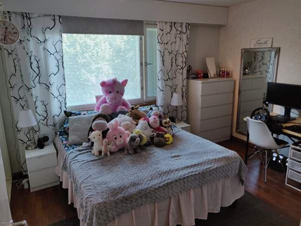 2h + k + p  Raisio - valokuva 2