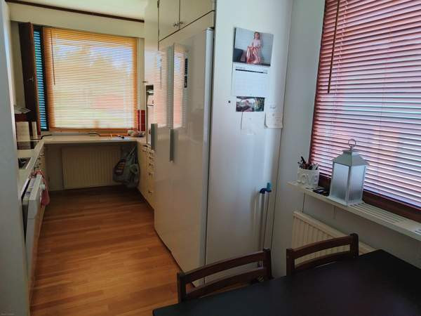 3h + k + s  Viitasaari - изображение 3