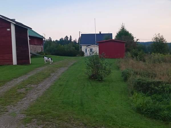 9h + avok + s  Iisalmi - photo 1