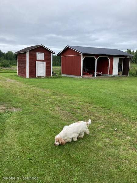 9h + avok + s  Iisalmi - photo 2