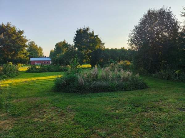 4h + k + s + kph + ws + vh + at  Suonenjoki – foto 4