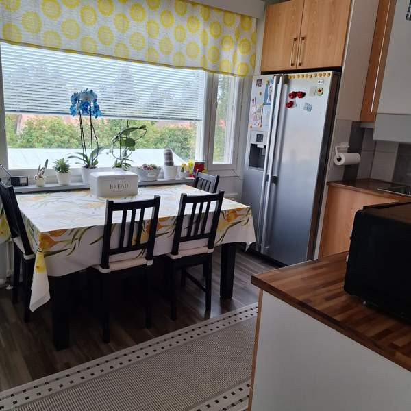 4h + k + p  Juuka - valokuva 3