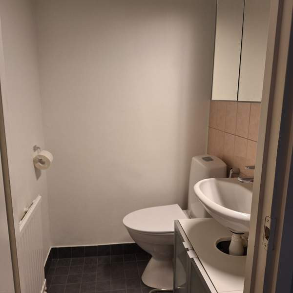 4h + k + p  Juuka - valokuva 6