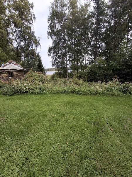 5h + k  Mänttä-Vilppula – foto 4