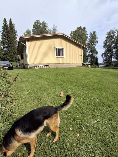 5h + k  Mänttä-Vilppula – foto 2