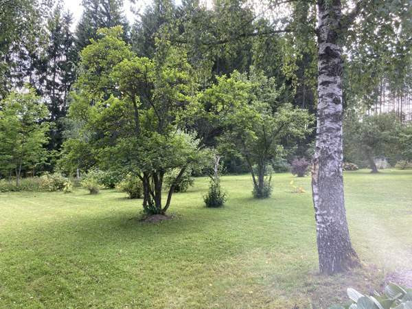 8h + k + s + khh  Imatra – foto 4