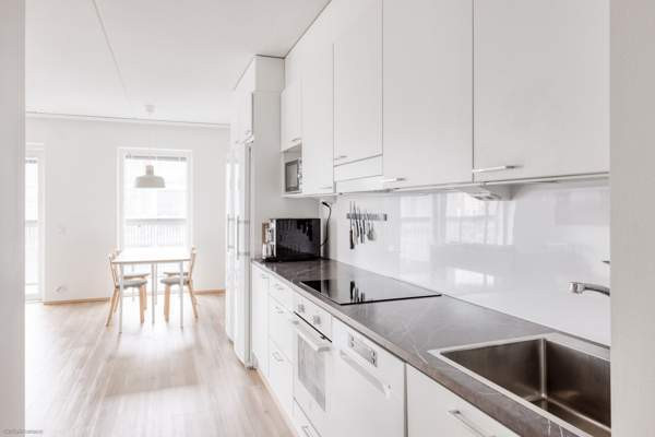 4h + avok + s + p  Helsinki - изображение 5