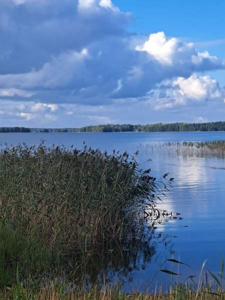 3h + s  Pälkäne - photo 7