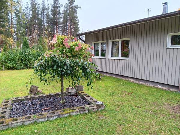 4h + k + s  Imatra - photo 4