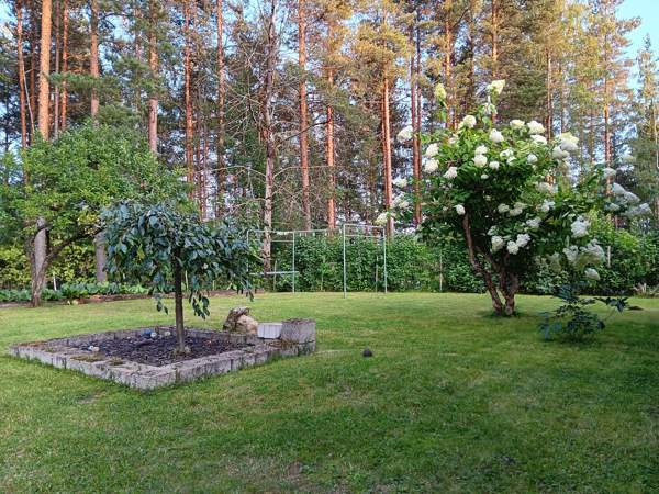 4h + k + s  Imatra - photo 8