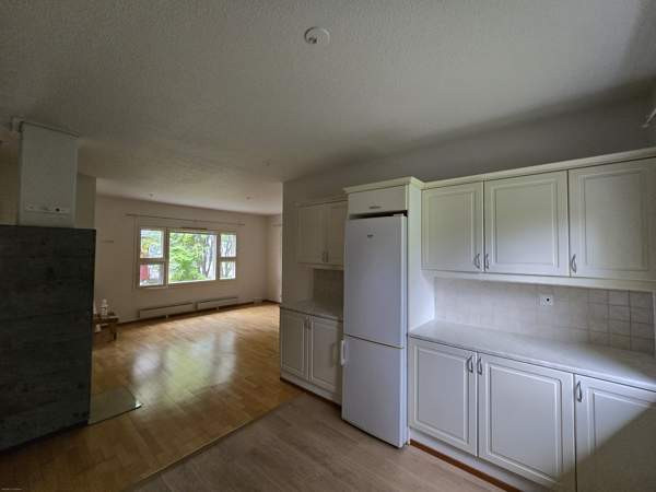 3h + s  Pyhäntä - photo 4