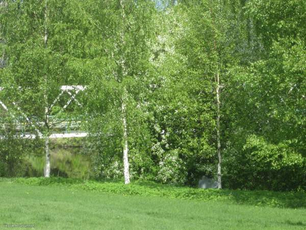 2h+k+vh  Tohmajärvi - valokuva 1