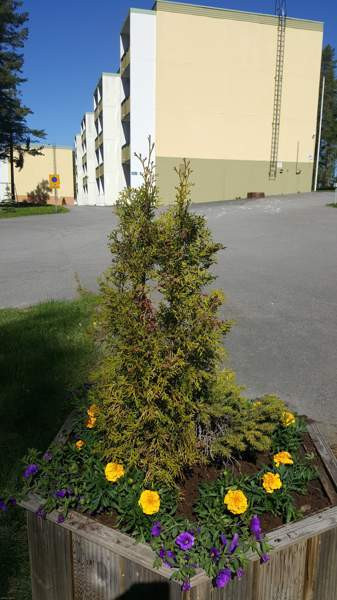 2h + p  Savonlinna - valokuva 3