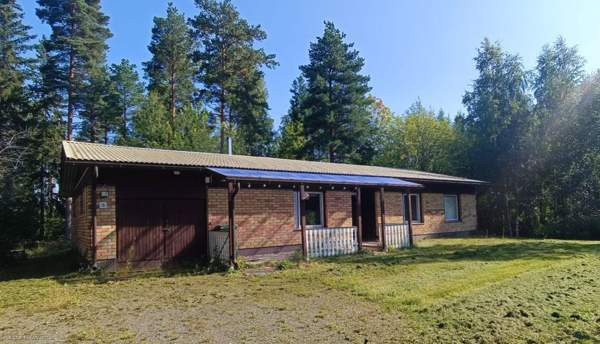 5h + k + s  Vimpeli - valokuva 3