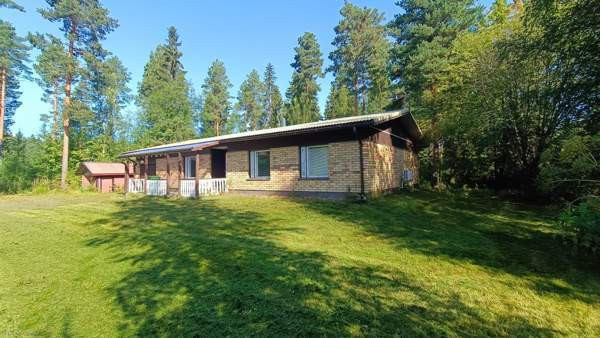 5h + k + s  Vimpeli - valokuva 2