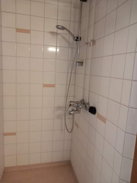 1h + s + p  Форсса - изображение 5