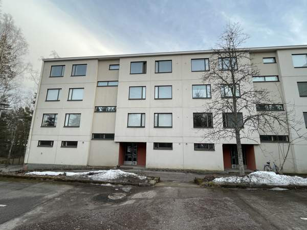 2h  Chukotskiy Avtonomnyy Okrug - valokuva 1