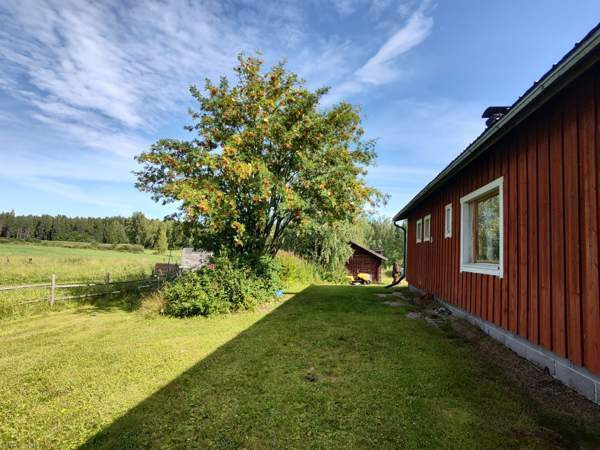 OH+ K +2 MH + KPH + LH + 3 VH+ VAR + kellari  Lieksa – foto 4