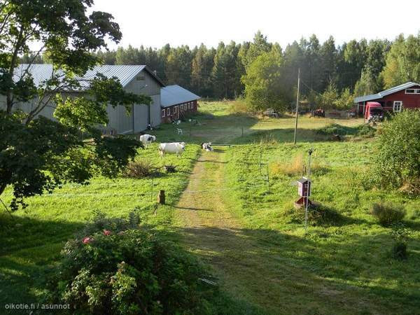 oh, k, 5 mh, takkahuone, ph, s, 2 wc, aula, 2 parv  Butterworth – foto 1