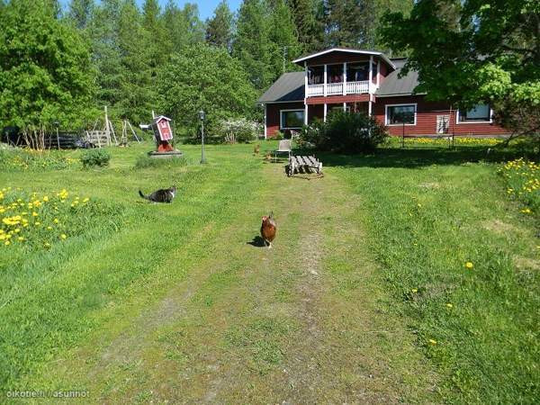 oh, k, 5 mh, takkahuone, ph, s, 2 wc, aula, 2 parv  Butterworth – foto 2