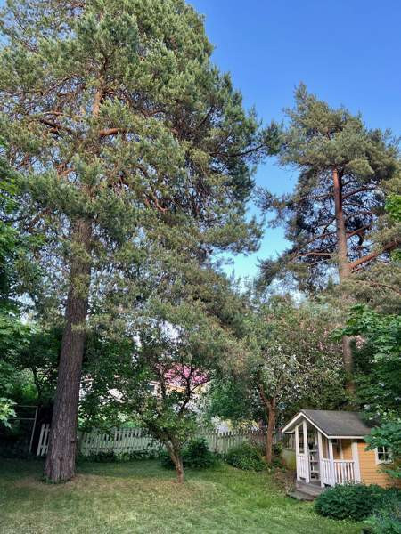 4h + k + s  Chukotskiy Avtonomnyy Okrug – foto 4