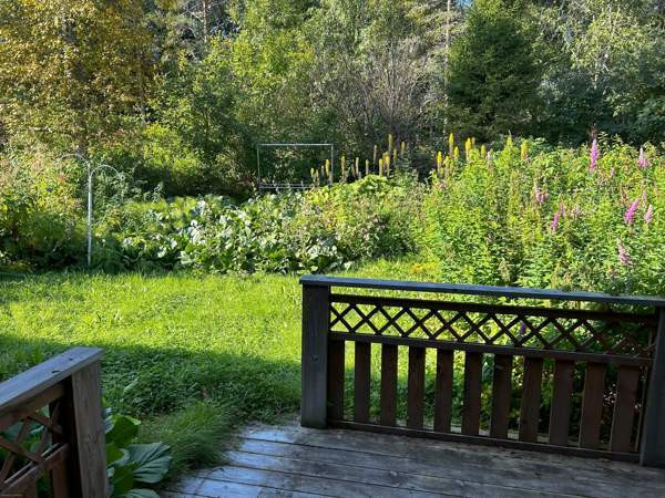 3h + k + s  Kemijärvi – foto 4