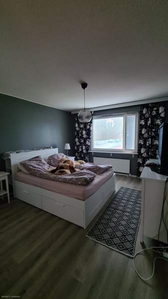 2h + k + p + vh  Kuopio - valokuva 6