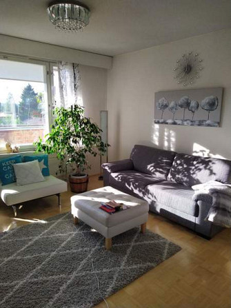2h + s + p  Pohjois-Savo - photo 3