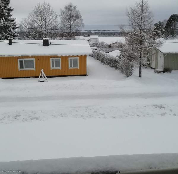 2h + s + p  Pielavesi - valokuva 6