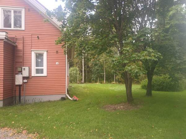 6h + k + s  Vihanti - valokuva 2