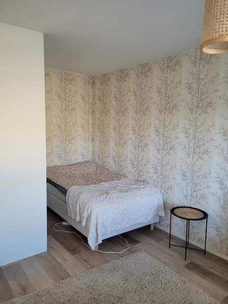 1h + kk  Zaporiz'ka Oblast' - photo 6