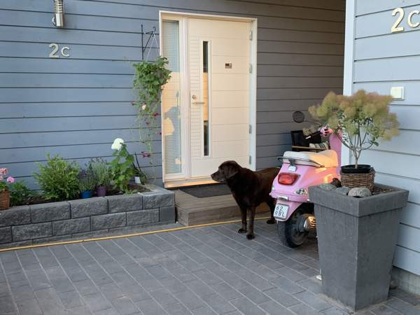 4 huonetta + olohuone + k + ruokatila, eteinen, 2  Helsinki - изображение 2