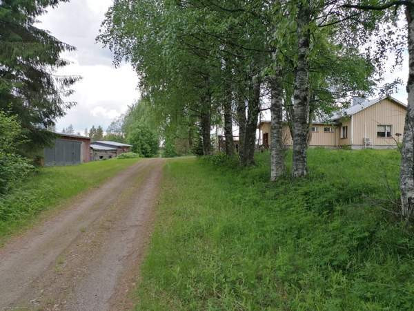 4h + avok + s  Ilomantsi - изображение 4