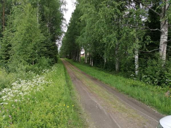 4h + avok + s  Ilomantsi - изображение 3