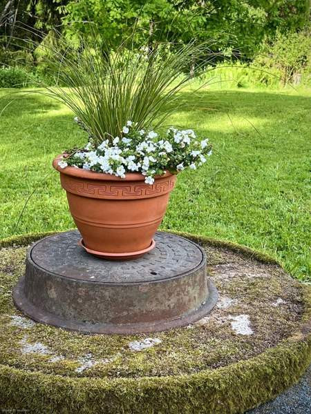 4 h + k + s  Rääkkylä - valokuva 5