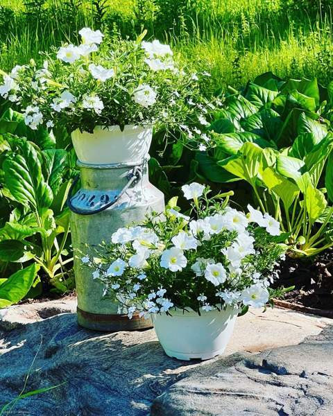 4 h + k + s  Rääkkylä - valokuva 4