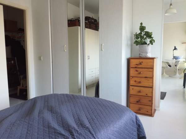 2h+k+las.parv.  Turtkul - photo 5