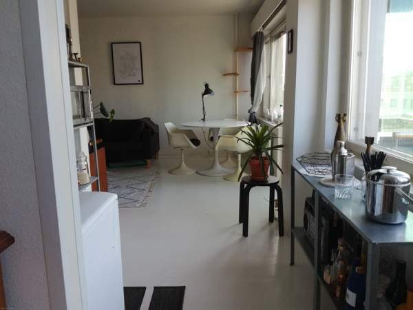 2h+k+las.parv.  Turtkul - photo 4