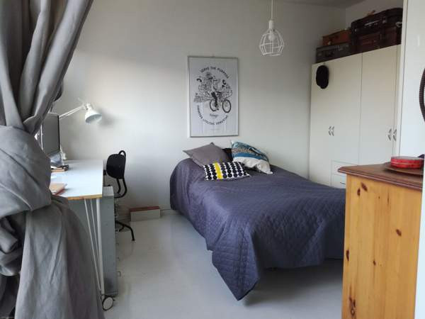 2h+k+las.parv.  Turtkul - photo 6