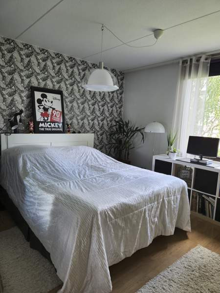 2h + k + p  Glebychevo - valokuva 4