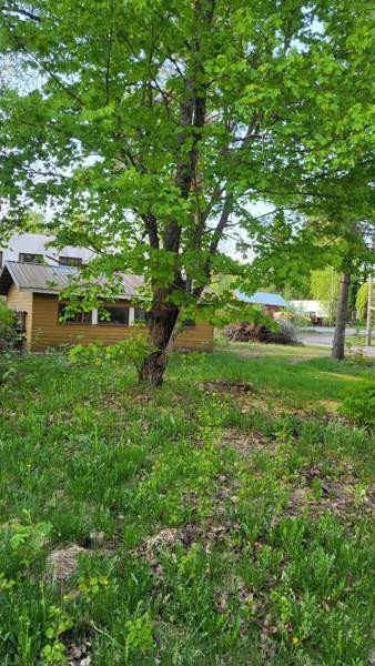 4h  Sastamala - photo 6