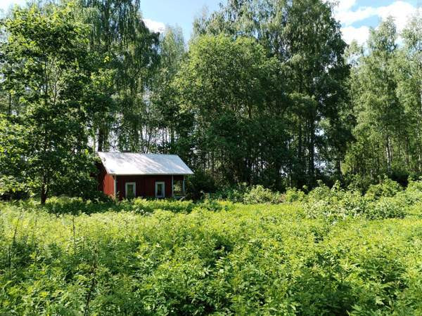 3h + k  Savonlinna – foto 5