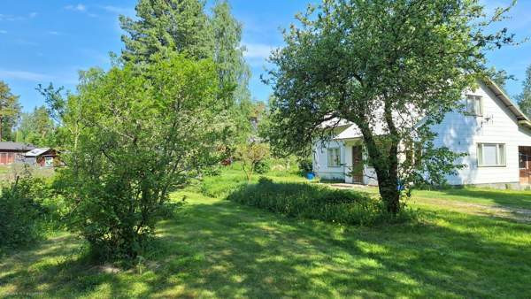 4h + k + s  Запорожская область - изображение 2