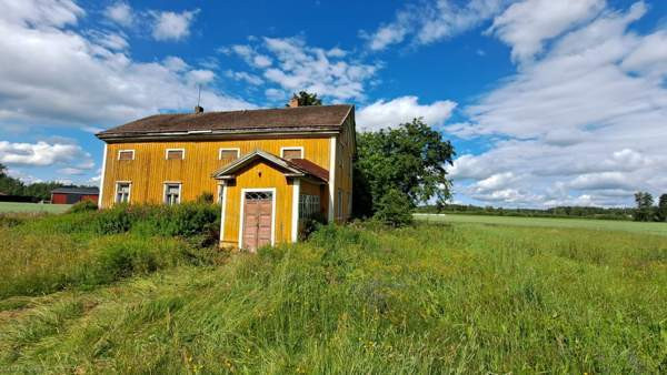 4h + avok  Kannus - valokuva 2